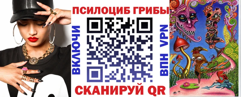 купить  цена  Чехов  Псилоцибиновые грибы мицелий 